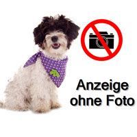 Welpen