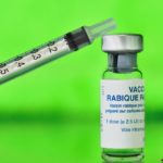 Bolonka Zwetna Impfungen