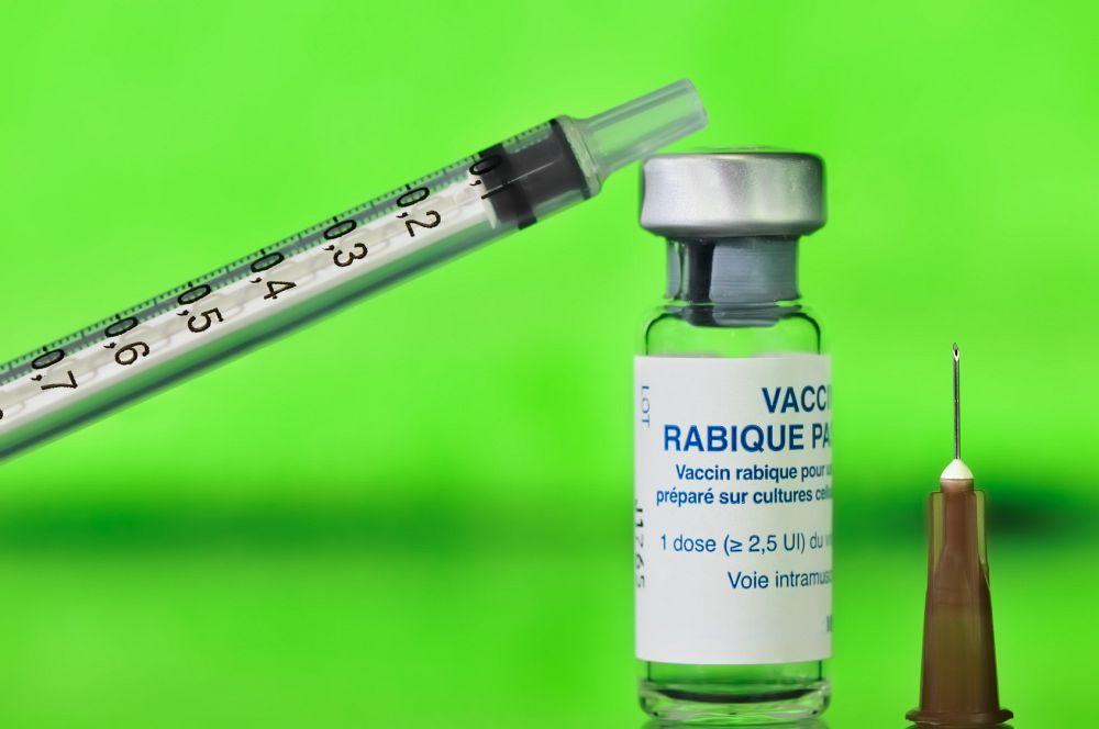 Bolonka Zwetna Impfungen