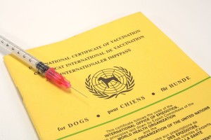 Den Impfpass erhalten Sie vom Bolonka Zwetna Züchter