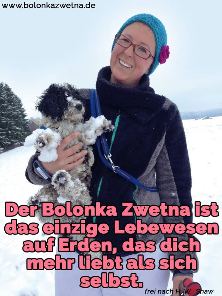 Bolonka Zwetna Zitate und Sprüche BolonkaZwetna.de