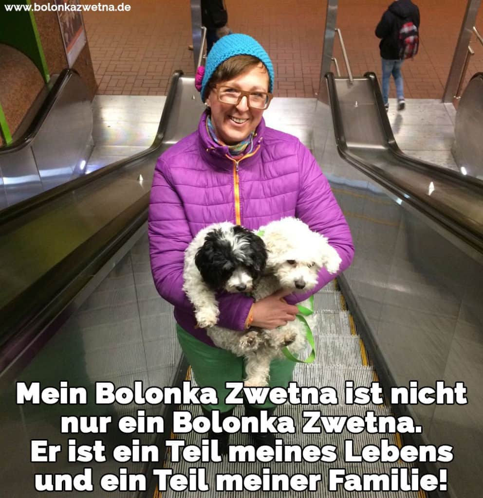 Bolonka Zwetna Zitate und Sprüche BolonkaZwetna.de