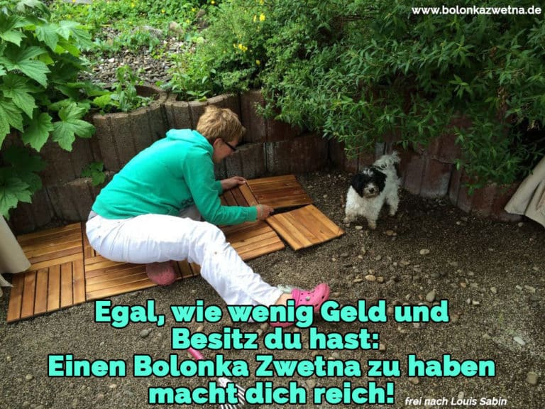 Bolonka Zwetna Zitate und Sprüche BolonkaZwetna.de
