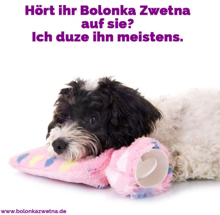 Bolonka Zwetna Zitate und Sprüche BolonkaZwetna.de