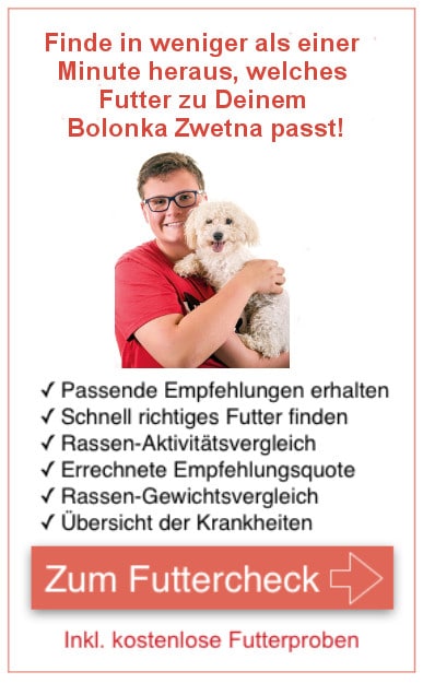 Futterproben für Bolonka Zwetna