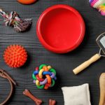 Einkaufsliste Bolonka Zwetna- Tolles Hundezubehör für Deinen Hund!