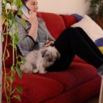 Nimm Kontakt auf um auf eine Bolonka Zwetna Anzeige zu antworten