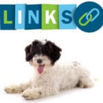 Bolonka Zwetna Links