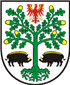 Beste Bolonka Zwetnas Züchter in der Nähe von Eberswalde und Umgebung.