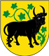 Beste Bolonka Zwetnas Züchter in der Nähe von Güstrow und Umgebung.