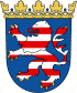 Bolonka Zwetna Züchter und Welpen in Hessen