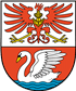 Beste Bolonka Zwetnas Züchter in der Nähe von Prenzlau und Umgebung.