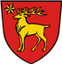 Beste Bolonka Zwetnas Züchter in der Nähe von Sigmaringen und Umgebung.