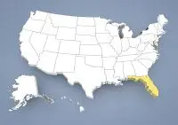 Bolonka Zwetna Züchter in Florida,FL, Fla.