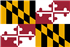 Bolonka Zwetna Züchter in Maryland,MD, Md.