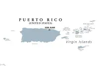 Bolonka Zwetna Züchter in Puerto Rico,Estado Libre Asociado de Puerto Rico