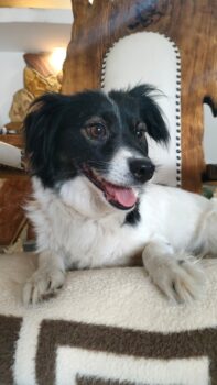🍀🎉RESERVIERT🎉🍀Yulia (30cm/9kg) - mit VIDEOS